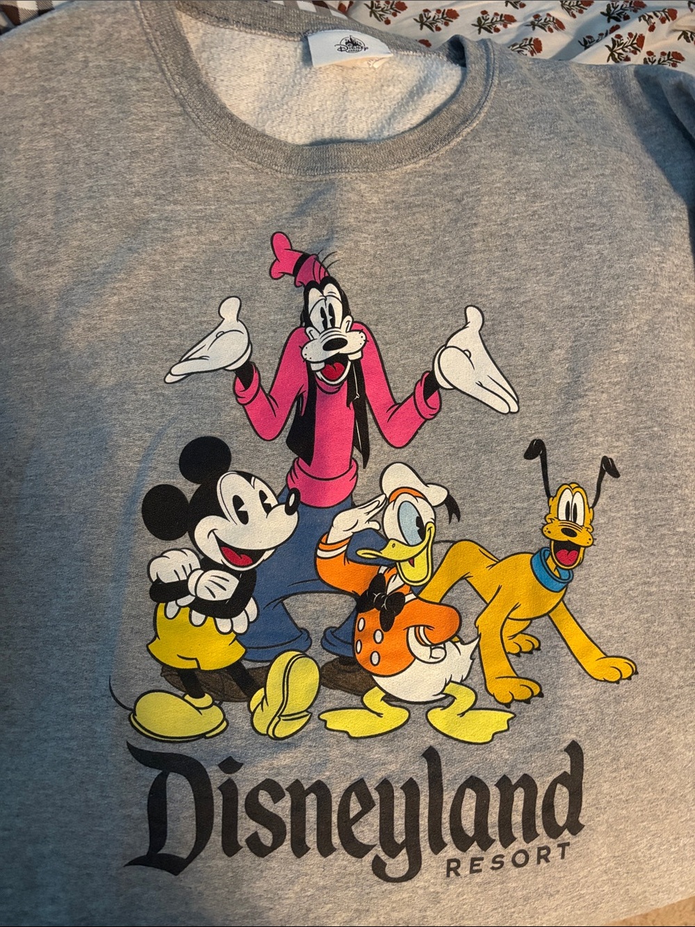 Disneyland Sweatshirt